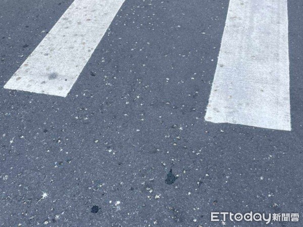 ▲大批的燕子聚棲在花蓮市新港街道的電線上,到了晚上就開始下起「黃金雨」。(圖/花蓮市公所提供,下同) ▲大批的燕子聚棲在花蓮市新港街道的電線上,到了晚上就開始下起「黃金雨」。(圖/花蓮市公所提供,下同)