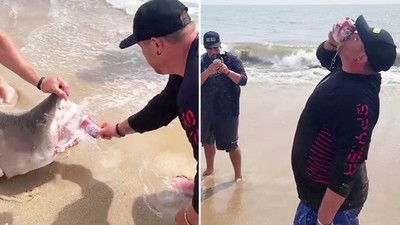 硬掰開鯊魚寶寶嘴巴「逼牠幫開啤酒」肥肚男自拍炫耀挨轟　反嗆網友大驚小怪