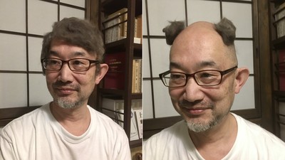 日本大叔蒐集廢貓毛做假髮　貓奴的樂趣就是如此樸實無華！