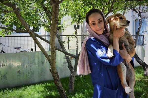 阿富汗寵物救援團體Nowzad。（圖／翻攝自Nowzad推特）