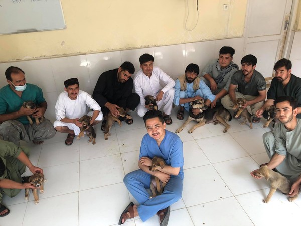 喀布爾動物救援團體撤離失敗。（圖／取自Kabul Small Animal Rescue）