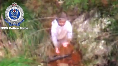 3歲自閉童迷路「冷靜找到水源」倖存！爸媽森林裡苦尋三天　驚嘆他毫髮無傷