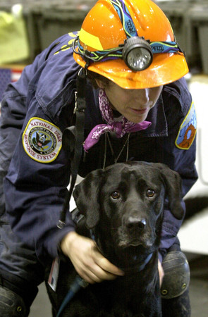 911搜救犬Jake（圖／達志影像／美聯社）