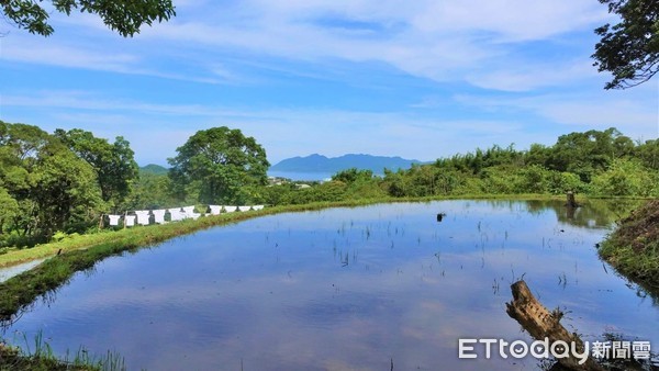 ▲新北農創e遊券22日開放登記 農創療癒體驗攏底家。（圖／新北市農業局提供）