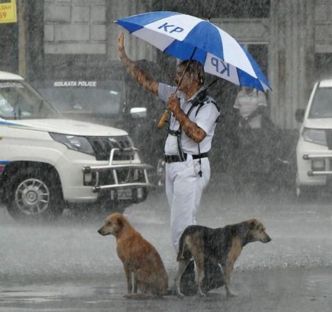▲暴雨淹水2浪犬受困大馬路　警員奔向前「幫忙撐傘」舉手指揮交通。（圖／翻攝自Facebook／Kolkata Police）