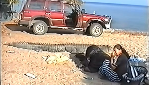 ▲▼澳洲一尾4.2公尺巨鱷狠咬壯男。（圖／翻攝自YouTube／GT BUSTER）