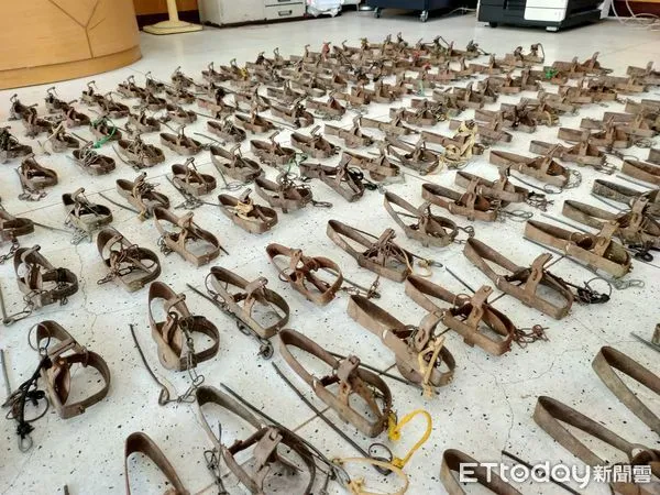 ▲▼嘉義縣查獲170具捕獸鋏 捕鼠人違法遭辦 。(圖/嘉義縣政府提供)