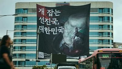 非法屠宰狗肉太好買　動保團體掛大型布條反諷韓國：捕肉的先進國家
