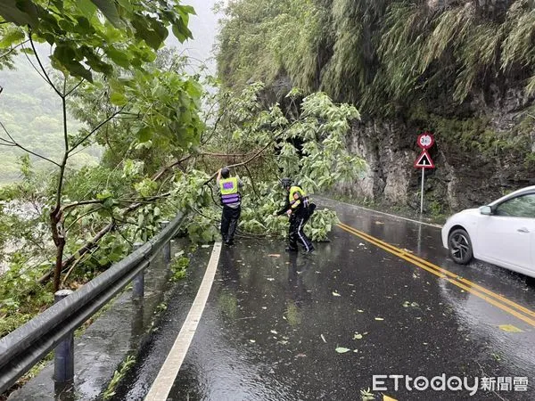 ▲▼新城分局員警冒強勁風雨排除路面障礙。(圖/新城分局提供,下同)