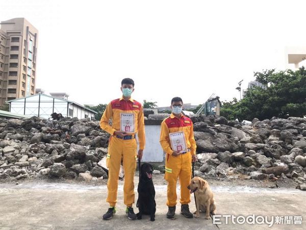 新竹市搜救犬Henin。（圖／新竹市政府提供）