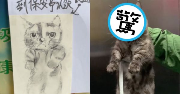 一名保全畫了「潦草」的走失貓咪畫像，沒想到貓咪本尊也長得如此潦草。（翻攝自小五他爹抖音）