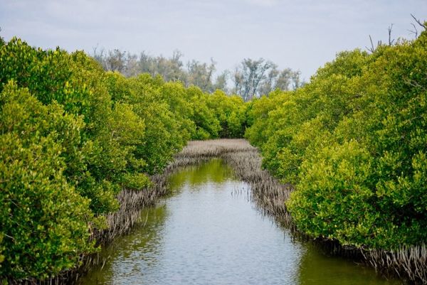 ▲（圖／雲嘉南濱海國家風景區管理處）