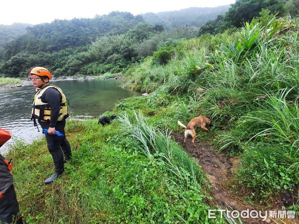 ▲▼新北市搜救犬加入搜索行動，溯溪4公里要找到最後一名罹難者             。（圖／記者陳以昇翻攝）