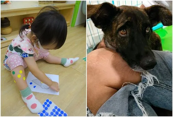 ▲▼公益團體捐款也受到疫情衝擊下滑,但救助對象激增,疫情後捐款尚未回溫。(圖左/兒福聯盟;圖右/財團法人流浪動物之家基金會)