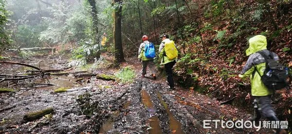 ▲▼搜救人員上白姑大山,輪番用擔架將傷者抬下。(圖/神鷹山區搜救隊提供)