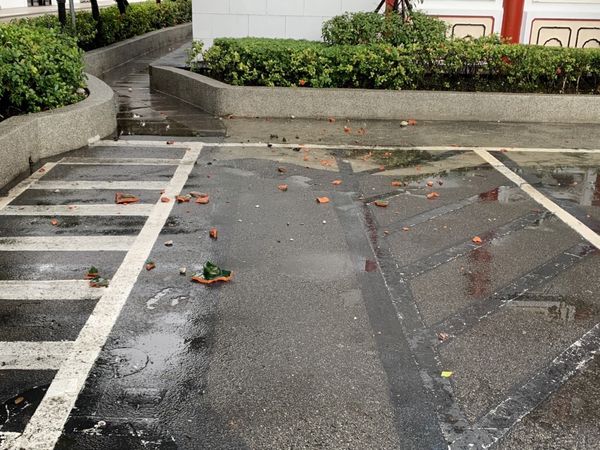 ▲▼今天下午1時11分左右發生規模6.5地震，台北市議員陳怡君表示，取車時，磚塊雨落下。（圖／陳怡君提供）