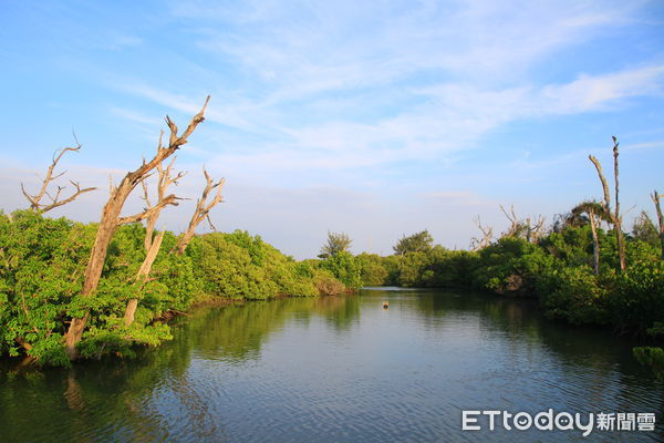 ▲▼雙春濱海遊憩區，愛莊園豪華露營，竹筏體驗，台南版水漾森林。（圖／記者蔡玟君攝）