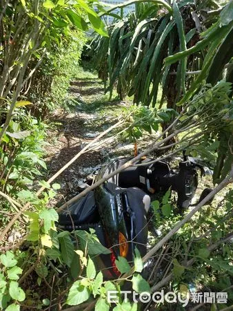 ▲▼自撞電線桿。(圖/記者陳雕文翻攝)