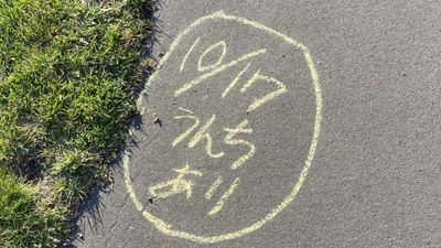 北海道馬路邊寫「有大便」　網友揭背後恐怖含意：快逃啊