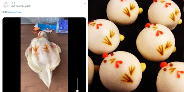 留言處有網友分享另隻寵物雞四腳朝天睡著的影片，意外跟另位網友分享的小雞造型饅頭有87%像。（圖片翻攝推特＠niwatori3wa）