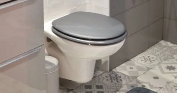 國外一名女子上廁所時被蜘蛛咬傷。(示意圖/翻攝自pexels)