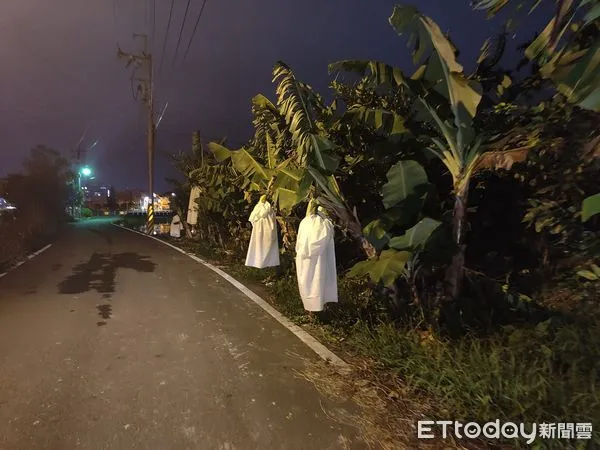 ▲▼宜蘭小路驚現「白衣人」吊樹!當地人驚揭真相:嚇到漏尿了。(圖/原PO授權提供)