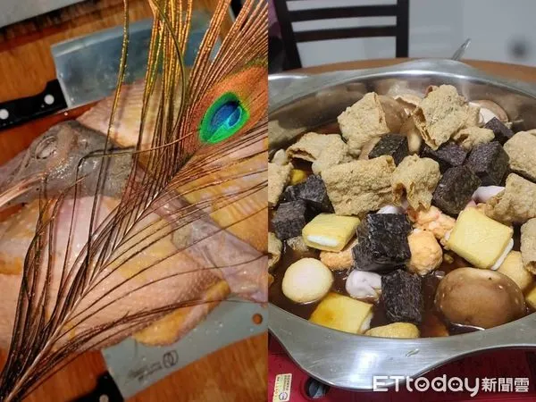 ▲▼薑母孔雀 。(圖/記者黃宥寧翻攝)