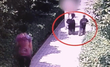 ▲▼ 安陽狗咬人。(圖/翻攝自微博)