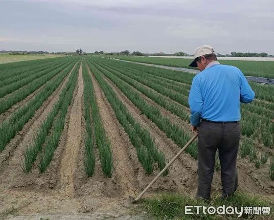 ▲疫情衝擊紅蔥頭農,陳亭妃要求農委會應趕快進行產銷調節,包括收購、加工、行銷,疫情最困難的時刻已經過去,要趕快想辦法幫助紅蔥頭農民。(圖/記者林悅翻攝,下同)