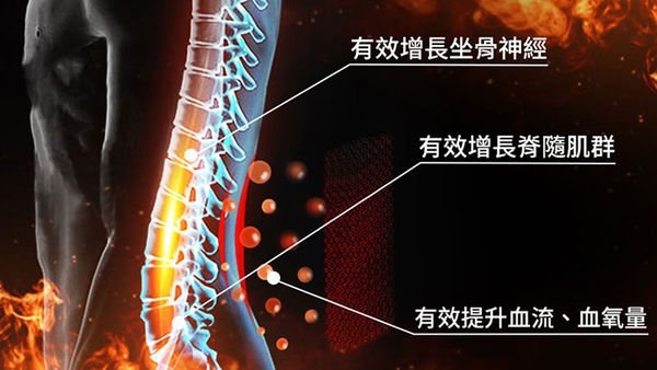 ▲▼石墨烯,黑科技,腰帶,PP波瑟楓妮,運動,體態。（圖／品牌提供）