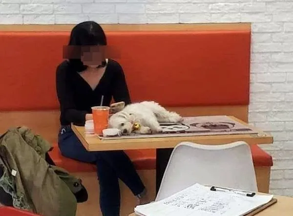 ▲▼台中V領女將「寶貝」放在早餐店桌上!網傻:公共場所耶。(圖/翻攝爆怨公社)