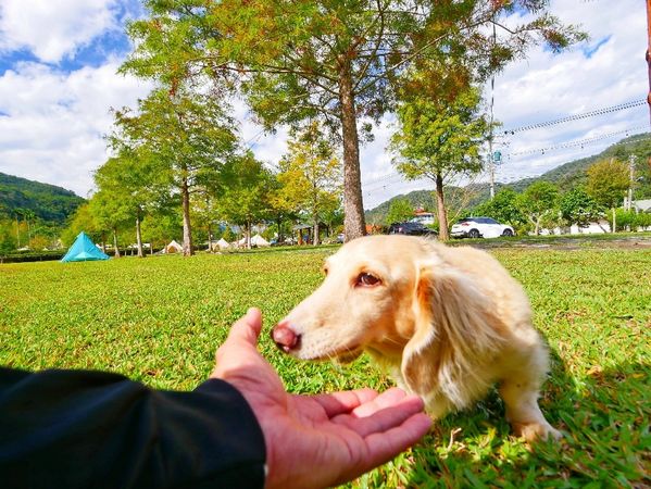 ▲▼放乎自然露營基地。（圖／何師父love露營授權提供，下同，請勿隨意翻攝以免侵權）