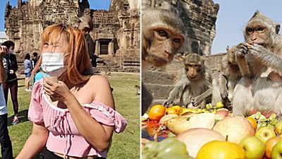 擺流水席「宴請猴子」！泰政府邀群眾欣賞猴子吃大餐　結果女遊客慘遭扒衣