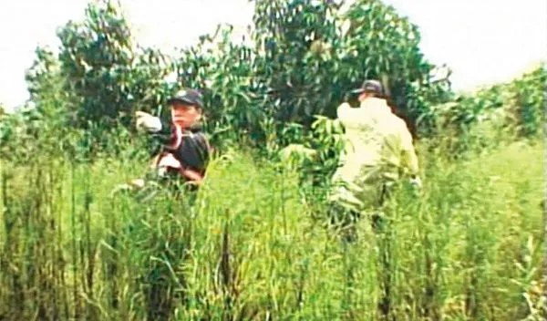 為了緝凶,警方抽乾水池,希望找到蛛絲馬跡。(東森新聞提供)