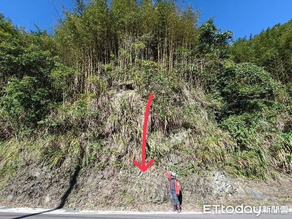 ▲外送員下班跑山「撿到自來貓」　選好奴才跳進保溫袋：帶我回家～。（圖／網友Dio提供）