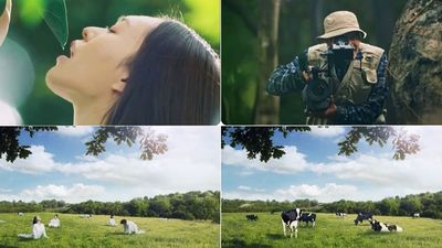 牛奶廣告「影射女性＝乳牛」？南韓網痛批廠商惡意歧視：看得毛骨悚然
