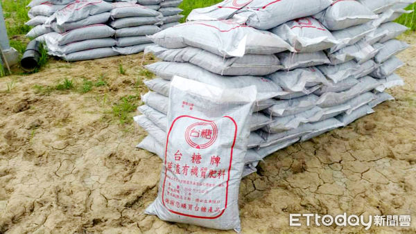 ▲▼高鐵站務員投身小番茄種植,友善農作加以太太母乳肥料酵素發酵 。(圖/記者翁伊森翻攝)