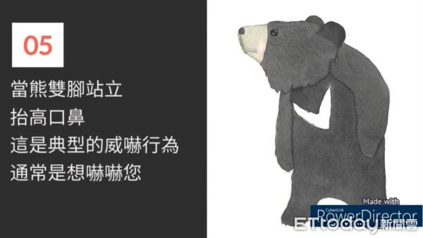 ▲玉山國家管理處人員自製教育宣導短片，分享野外遇見台灣黑熊的正確應對方式。（圖／翻攝《熊熊遇見》短片）