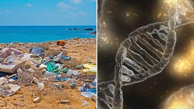 微生物「幫吃廢塑料」被迫進化！瑞典研究：人類製造汙染，整個生物圈幫代謝