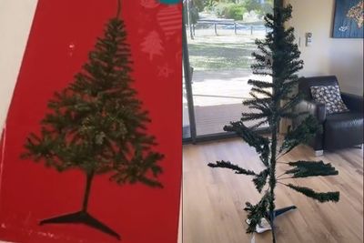 1.8公尺聖誕樹才278元！以為賺到「開箱傻眼」：怎麼超禿？