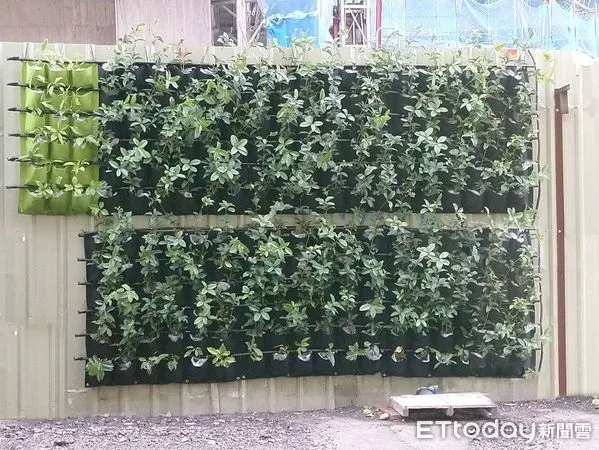 ▲公私協力,打造台東營建工地永續綠圍籬。(圖/記者楊漢聲翻攝)