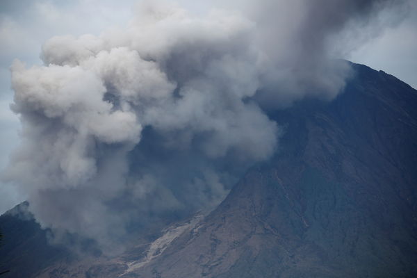 ▲▼ 印尼火山噴發後「被遺忘生命」志工搶救 。（圖／路透）