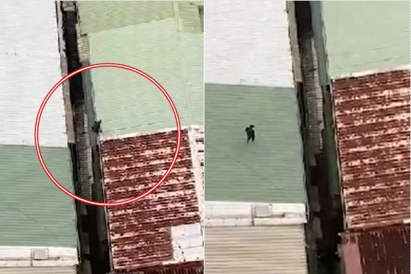 ▲陳嫌逃到屋頂。(圖/網友提供)