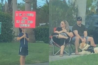男童路邊舉牌「我是霸凌者」　父母坐一旁看挨網轟：這是公開羞辱！
