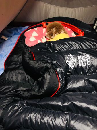 ▲露營準備就寢！「一坨紅毛球」佔滿睡袋　她無奈：先佔先贏？。（圖／有點毛毛的／網友Chia-Hui Chien提供）