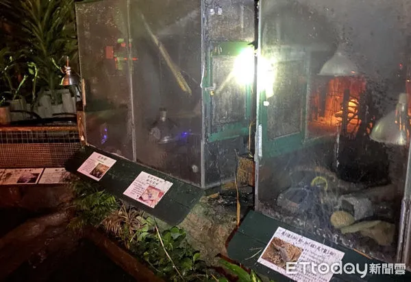 ▲新竹縣北埔鄉綠世界生態農場3日凌晨發生火警,所幸無造成人員傷亡,但園區內3隻蜥蜴不幸葬身火窟 。(圖/記者黃孟珍翻攝,下同)