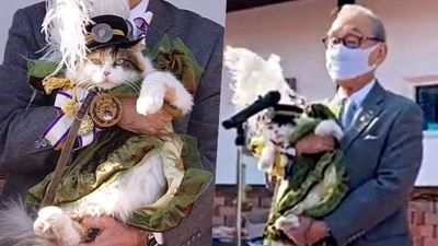 貓星人榮登「晉升大典」！站長貓升官電鐵社長　接任職令後回了一聲「喵～」