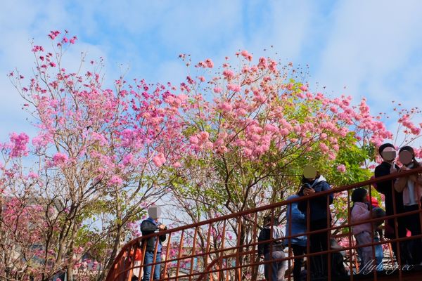 ▲▼台中北屯三甲公園。（圖／飛天璇的口袋提供）