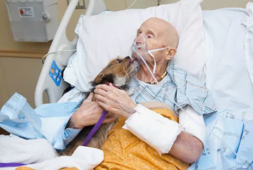 退役美軍最後一次擁抱愛犬。（圖／Albuquerque Animal Welfare）
