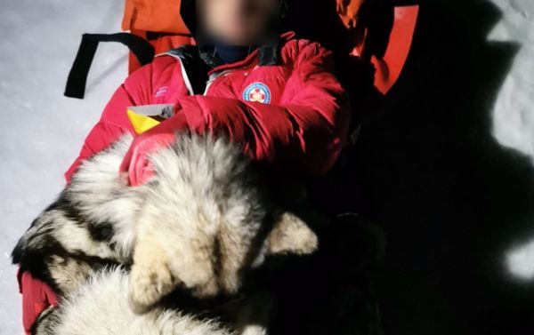 墜崖受困150公尺深峽谷　男主人靠雪橇犬「肉身保暖13小時」獲救。（圖／翻攝自Facebook／HGSS - Hrvatska Gorska Služba Spašavanja）